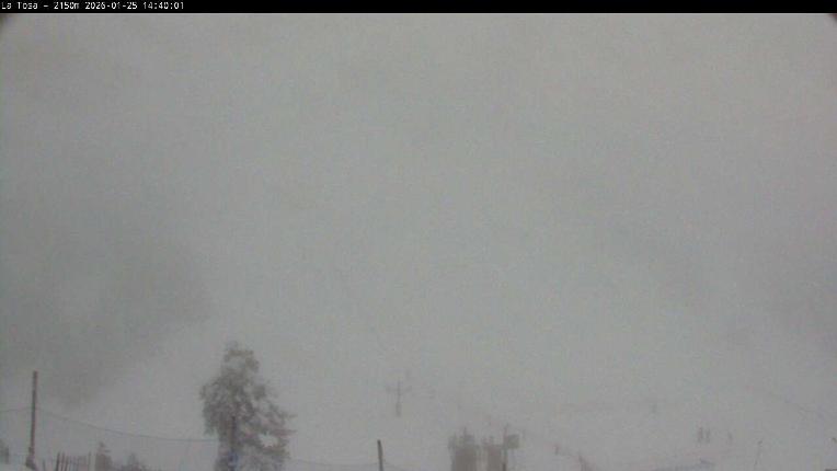 Webcam Masella: La Tossa - 2150m.