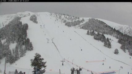 User report image in Masella