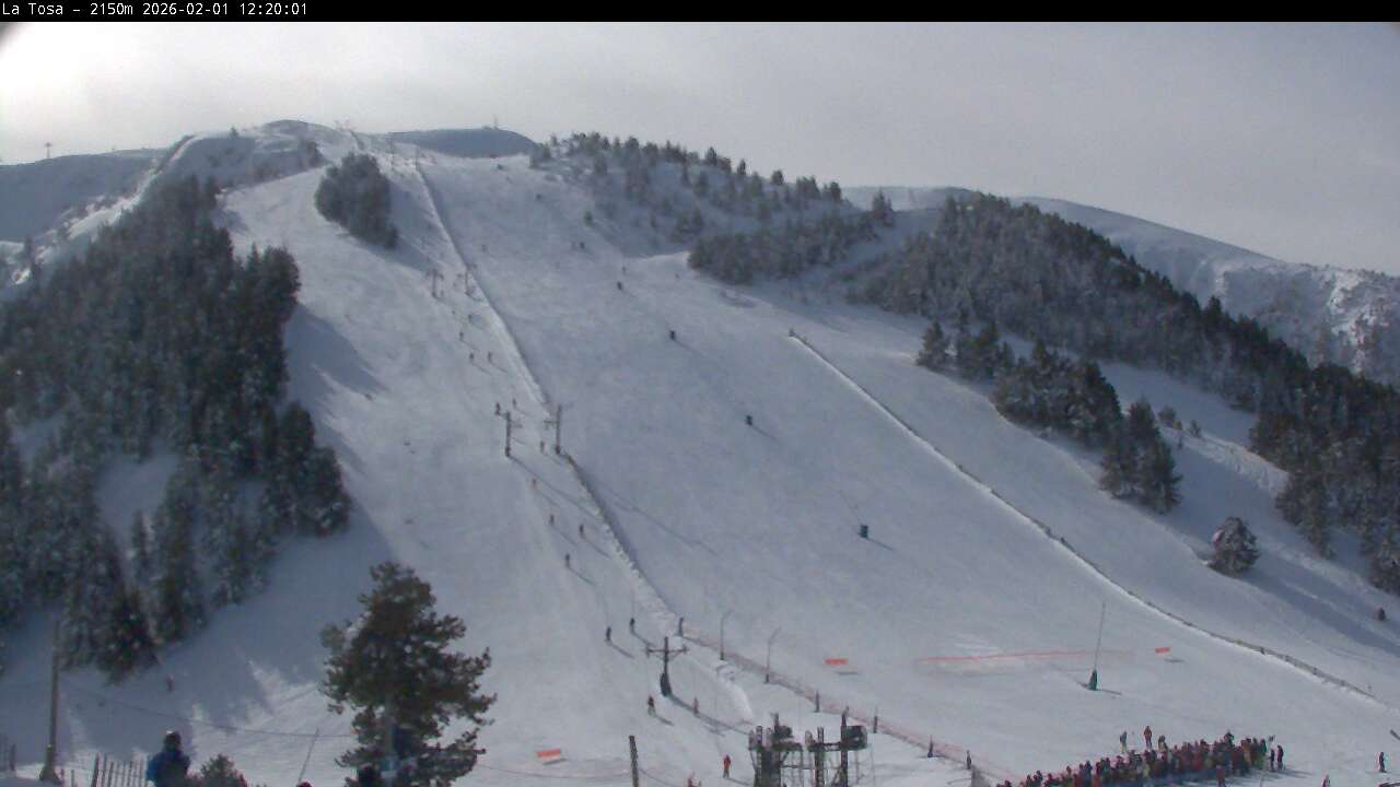 Webcam Masella: La Tossa - 2150m.