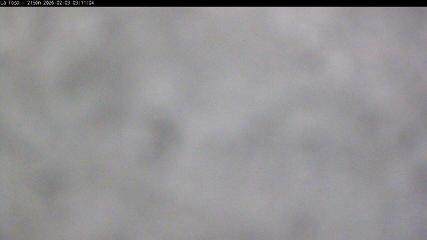 Masella: La Tossa - 2150m. (masella.com)