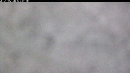 Masella: La Tossa - 2150m. (masella.com)