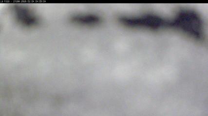 Masella: La Tossa - 2150m. (masella.com)