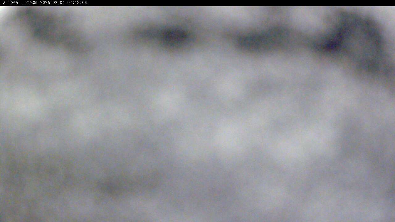 Webcam Masella: La Tossa - 2150m.
