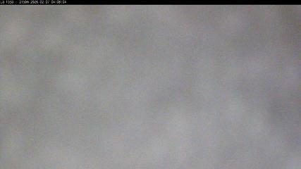 Masella: La Tossa - 2150m. (masella.com)