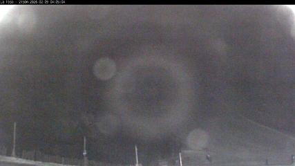 Masella: La Tossa - 2150m. (masella.com)