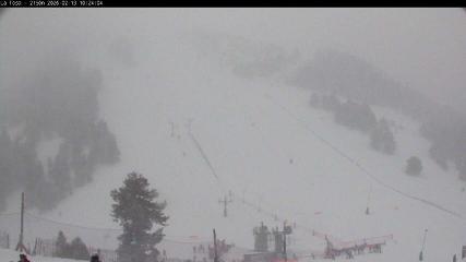 Bild des Benutzerberichts in Masella