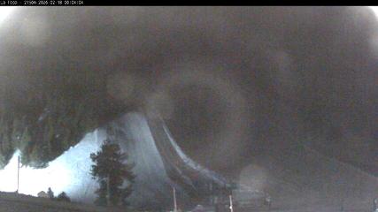 Masella: La Tossa - 2150m. (masella.com)