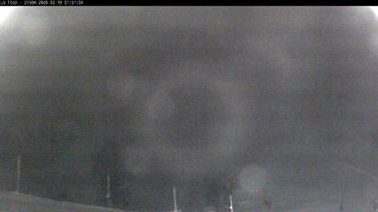 User report image in Masella