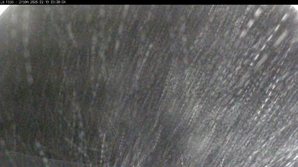 Image du rapport d'utilisateur dans Masella