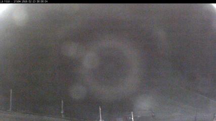 Masella: La Tossa - 2150m. (masella.com)