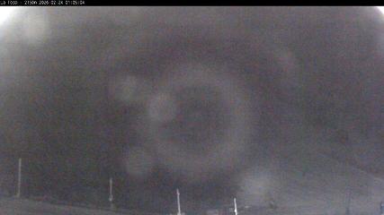 Masella: La Tossa - 2150m. (masella.com)