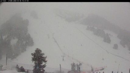 Bild des Benutzerberichts in Masella