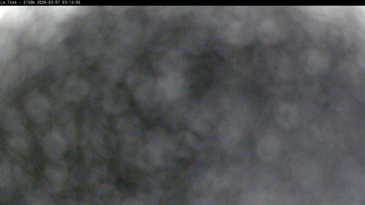 Webcam Masella: La Tossa - 2150m.