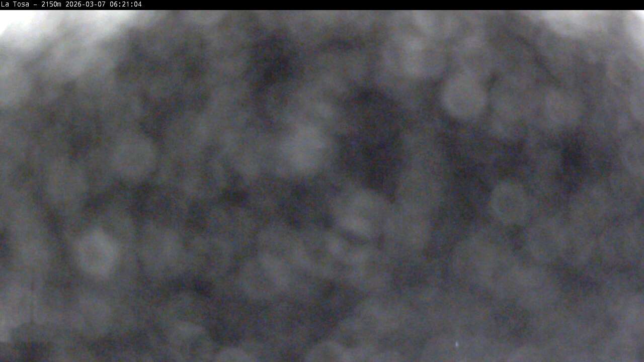 Webcam Masella: La Tossa - 2150m.