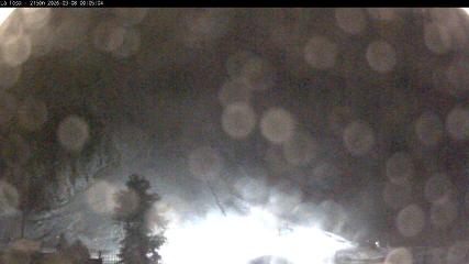 Masella: La Tossa - 2150m. (masella.com)