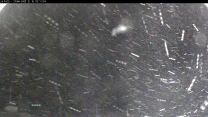 Imagem do relatório do usuário em Masella