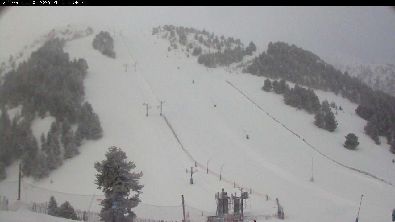 Webcam Masella: La Tossa - 2150m.
