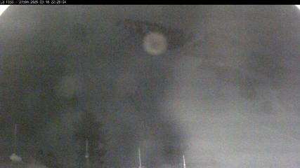 Masella: La Tossa - 2150m. (masella.com)