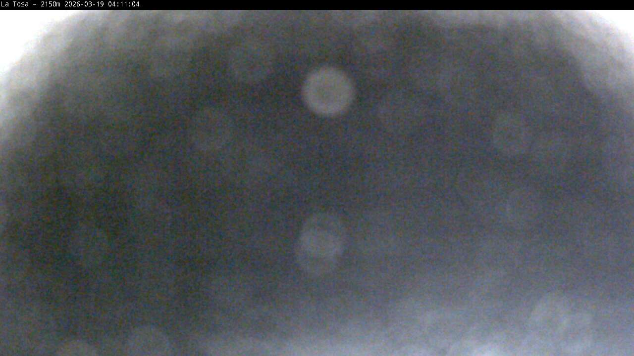 Webcam Masella: La Tossa - 2150m.