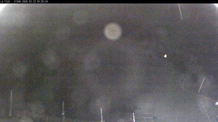 Masella: La Tossa - 2150m. (masella.com)