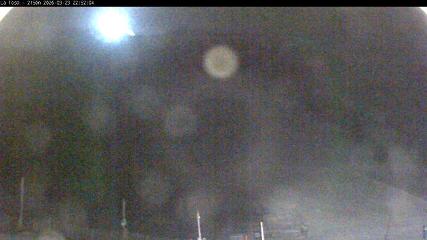 Masella: La Tossa - 2150m. (masella.com)