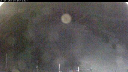 Masella: La Tossa - 2150m. (masella.com)