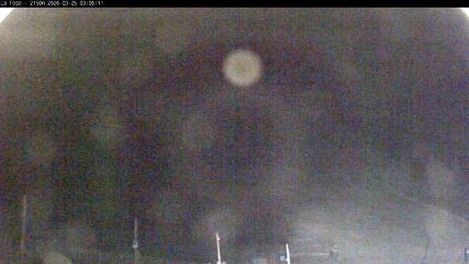 Imagem do relatório do usuário em Masella