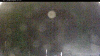 Masella: La Tossa - 2150m. (masella.com)