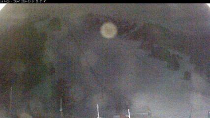 Masella: La Tossa - 2150m. (masella.com)