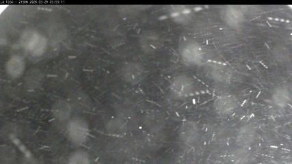 Masella: La Tossa - 2150m. (masella.com)