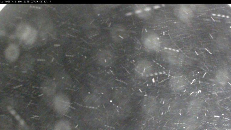 Webcam Masella: La Tossa - 2150m.