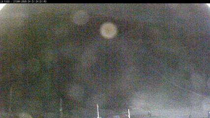 Image du rapport d'utilisateur dans Masella