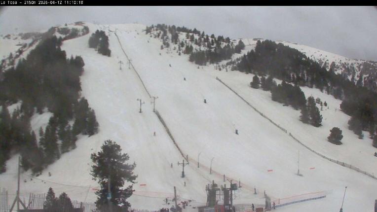 Webcam Masella: La Tossa - 2150m.
