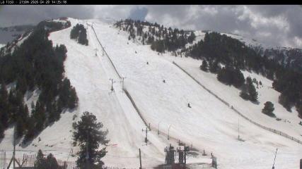 User report image in Masella