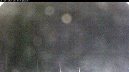 Masella: La Tossa - 2150m. (masella.com)