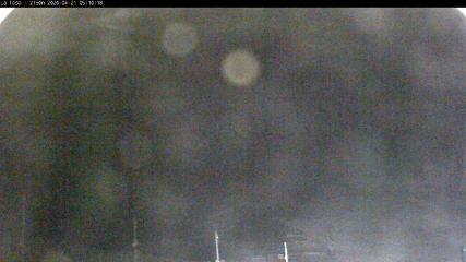 Masella: La Tossa - 2150m. (masella.com)