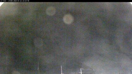 Masella: La Tossa - 2150m. (masella.com)