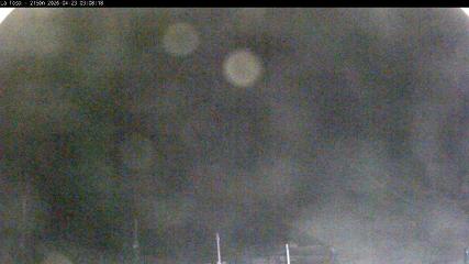 Masella: La Tossa - 2150m. (masella.com)