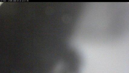 Masella: La Tossa - 2150m. (masella.com)