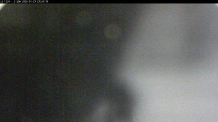 Masella: La Tossa - 2150m. (masella.com)