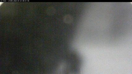 Masella: La Tossa - 2150m. (masella.com)