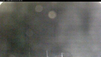 Masella: La Tossa - 2150m. (masella.com)