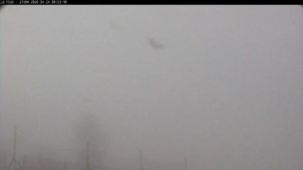 Masella: La Tossa - 2150m. (masella.com)