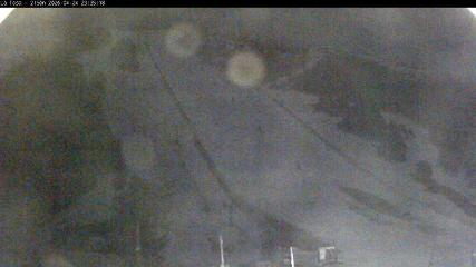 Masella: La Tossa - 2150m. (masella.com)