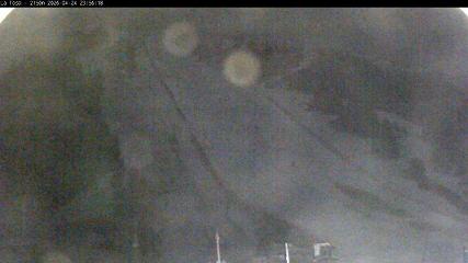 Masella: La Tossa - 2150m. (masella.com)