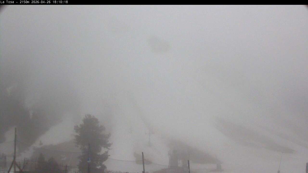 Webcam Masella: La Tossa - 2150m.