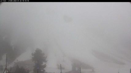 Masella: La Tossa - 2150m. (masella.com)