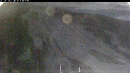 Masella: La Tossa - 2150m. (masella.com)