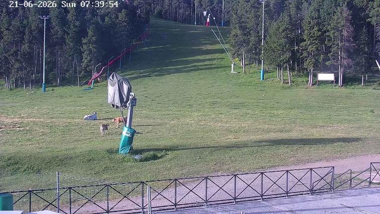 Webcam Masella: Pla de Masella 1600m