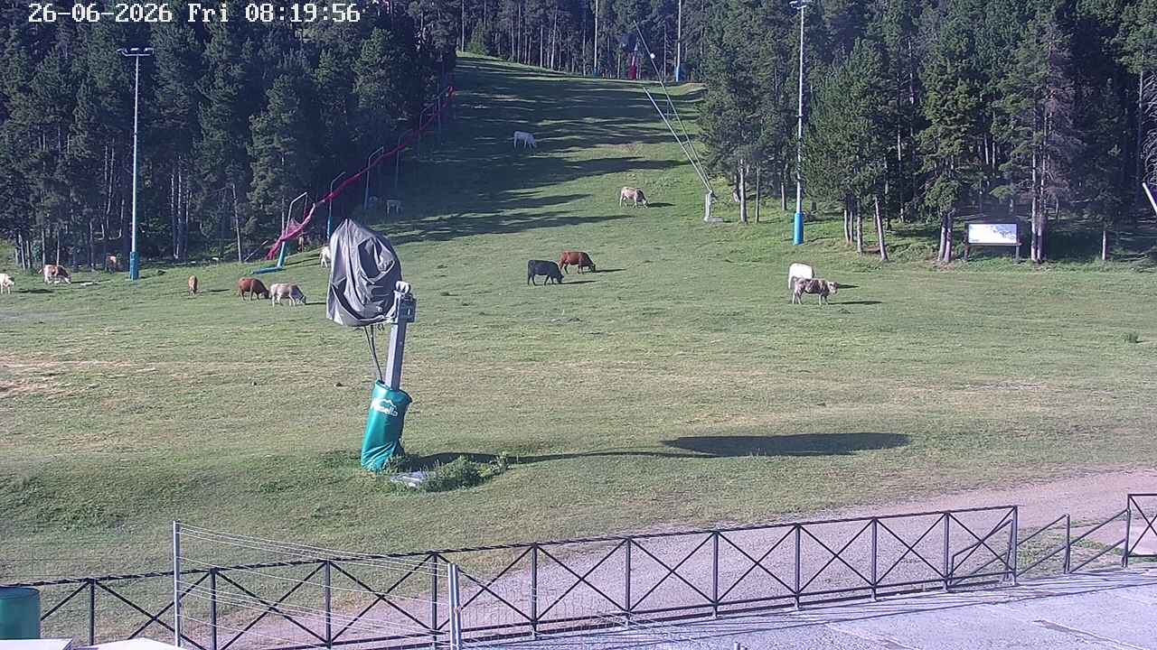 Webcam Masella: Pla de Masella 1600m